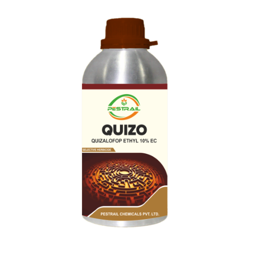 QUIZO